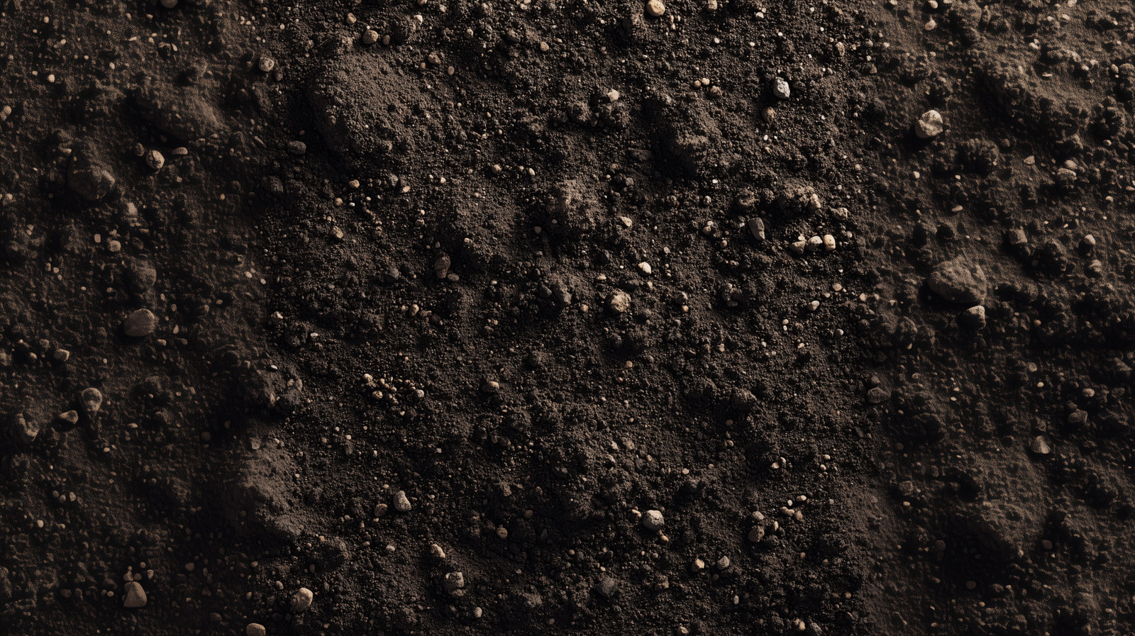 Dark compacted earth ground with deep texture symbolizing continuity in Act V of the Hunter Collection.