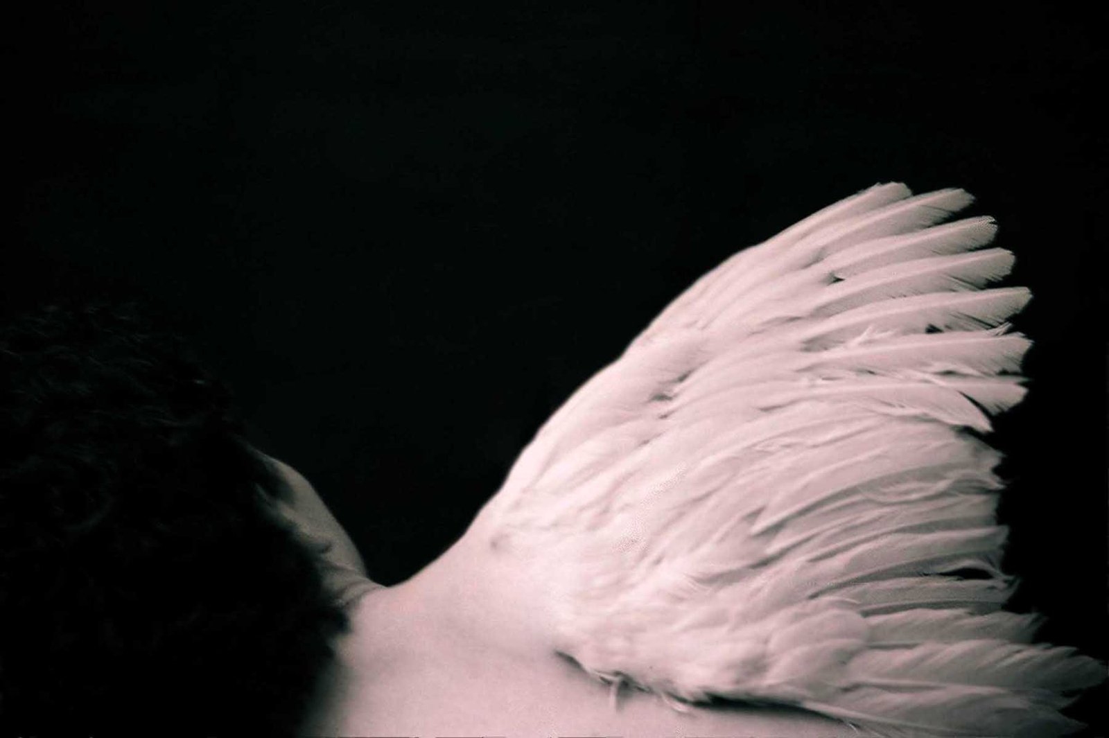 Fine art analog photograph showing a human back with a single wing attached, symbolising flight, loss, and human aspiration in a myth-inspired portrait by Milan Stamenovic.