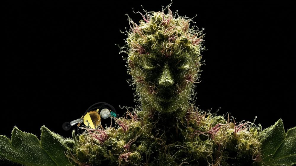 Wearable art jewelry from the Hunter Collection shown on a humanoid totem, expressing ritualized alignment.