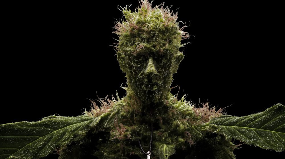 Wearable art jewelry from the Hunter Collection integrated into a humanoid botanical totem, emphasizing continuity.